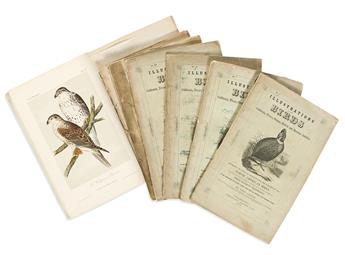 (BIRDS.) John Cassin. Illustrations of the Birds of California, Texas, Oregon, British and Russian America.                                      